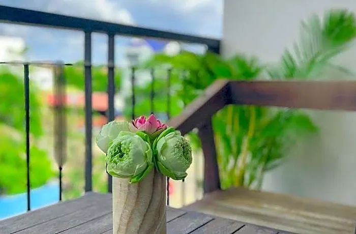 Palmery Boutique And 4* Siem Reap
