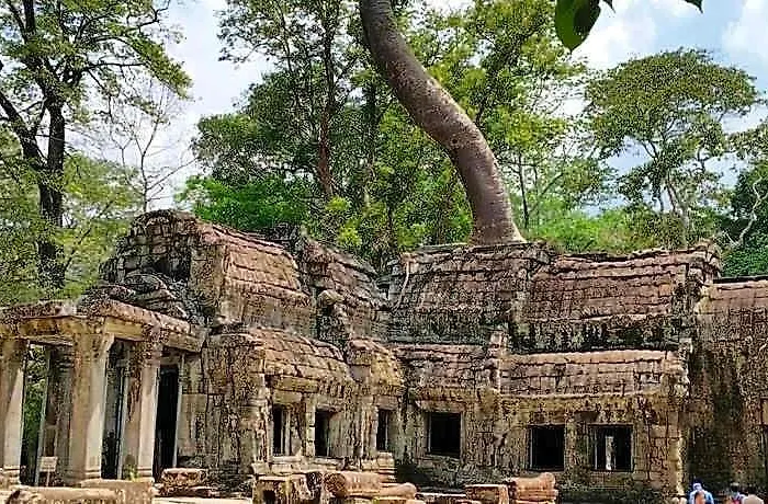 Palmery Boutique And Siem Reap